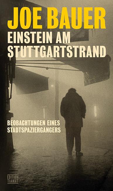 Cover: 9783893203208 | Einstein am Stuttgartstrand | Beobachtungen eines Stadtspaziergängers