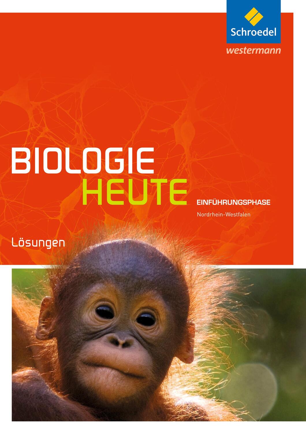 Cover: 9783507198111 | Biologie heute SII. Lösungen. Einführungsphase. Nordrhein-Westfalen