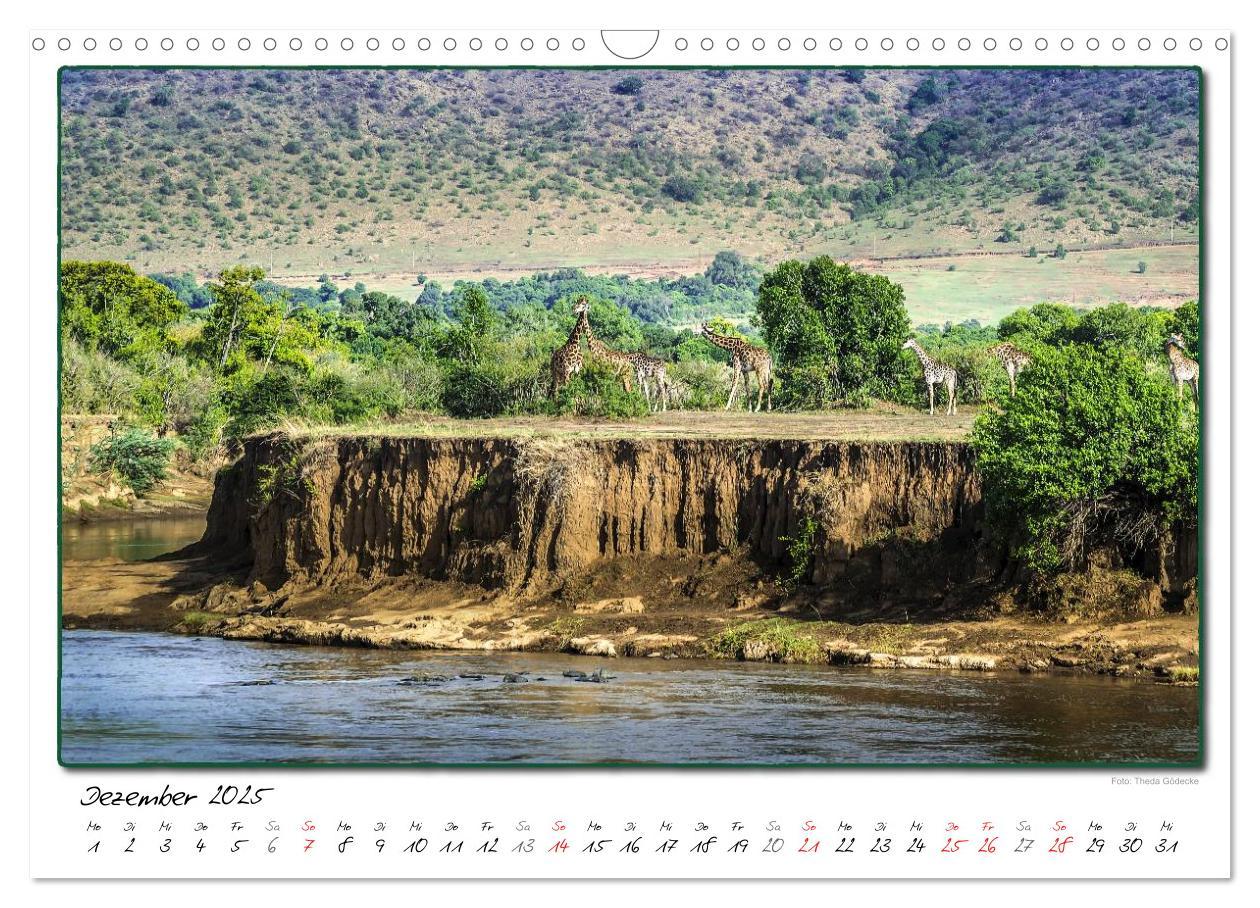 Bild: 9783435488773 | Abenteuer Masai Mara (Wandkalender 2025 DIN A3 quer), CALVENDO...