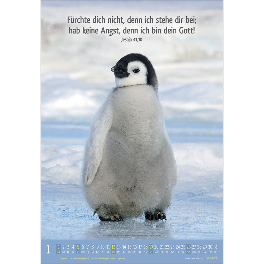 Bild: 9783754845059 | Meine kleine Welt 2025 | Tierkalender mit Bibelworten | Kalender