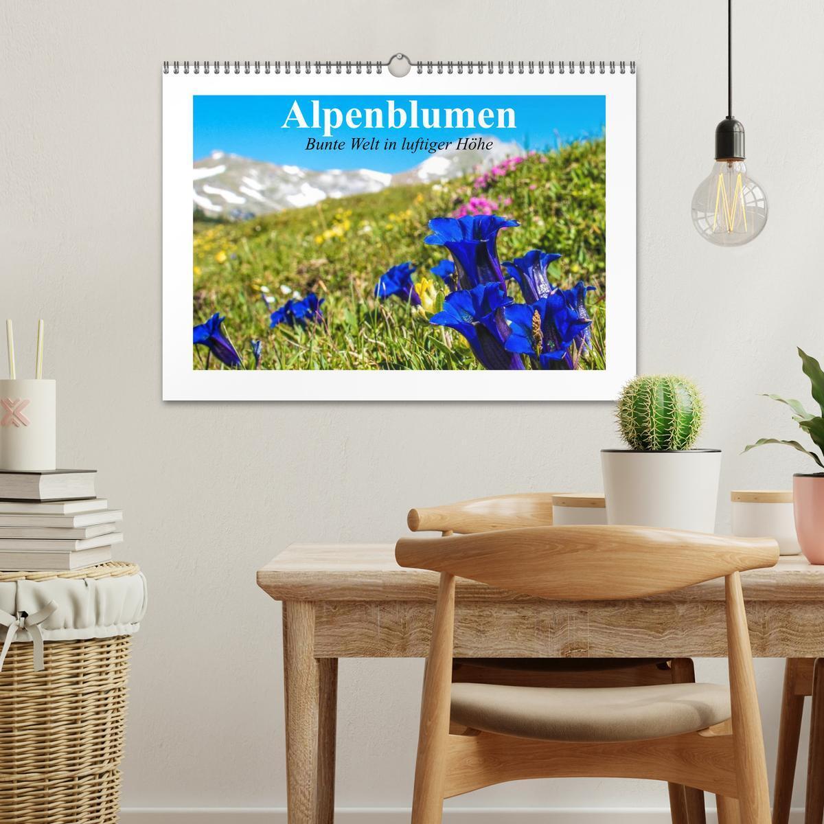 Bild: 9783435599141 | Alpenblumen. Bunte Welt in luftiger Höhe (Wandkalender 2025 DIN A3...