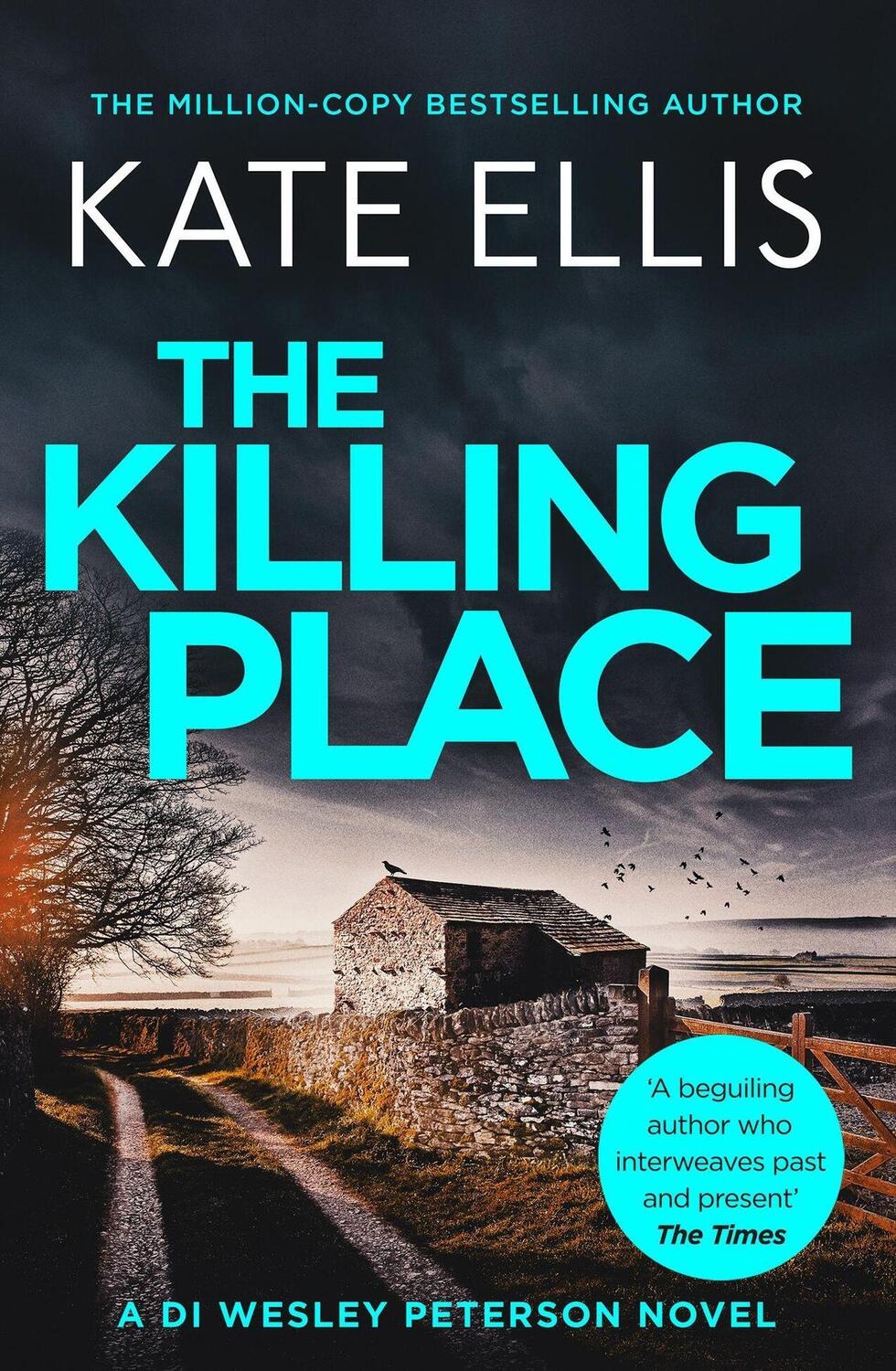 Cover: 9780349433158 | The Killing Place | Book 27 in the DI Wesley Peterson crime series