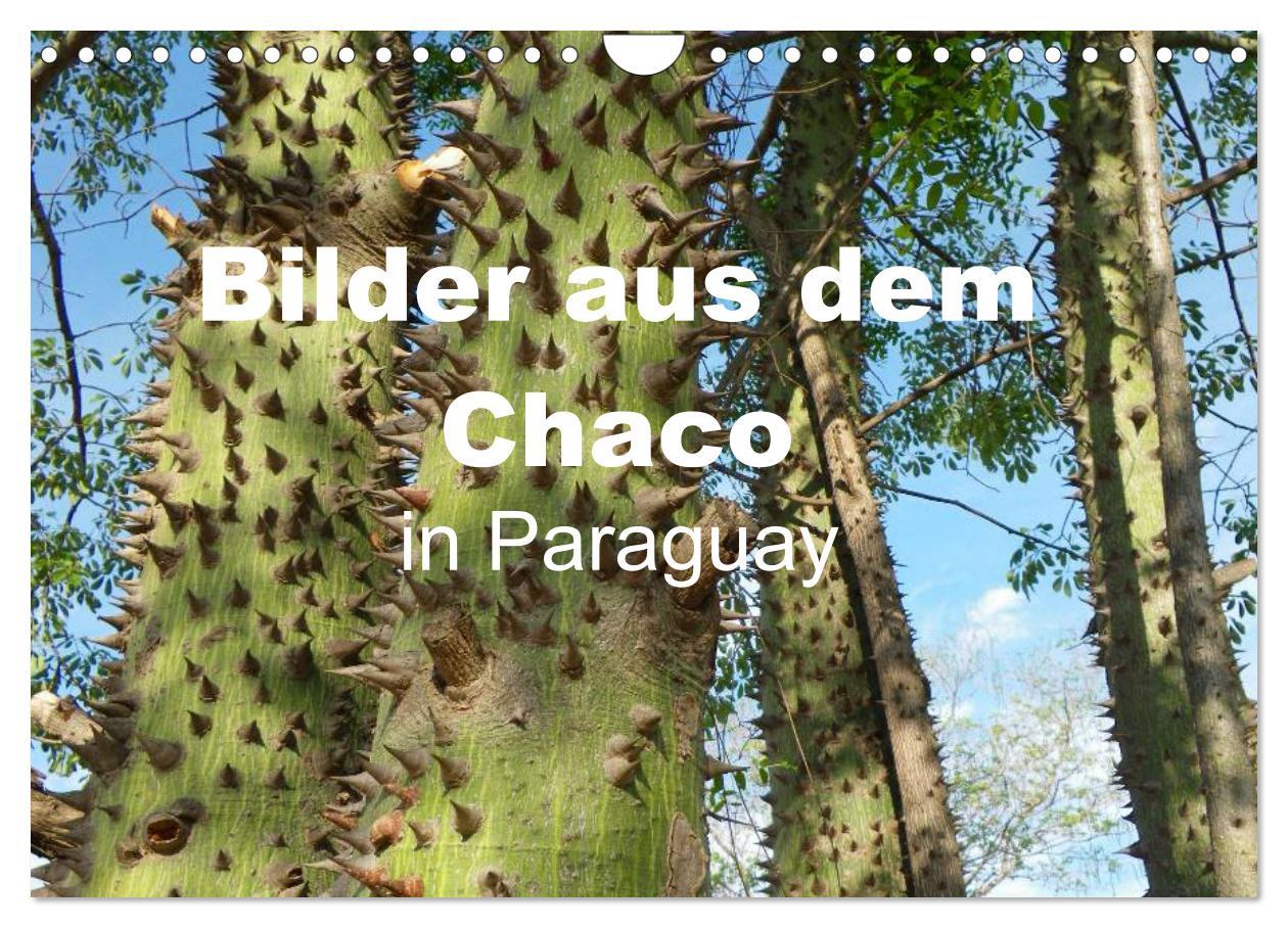 Cover: 9783435774081 | Bilder aus dem Chaco in Paraguay (Wandkalender 2025 DIN A4 quer),...