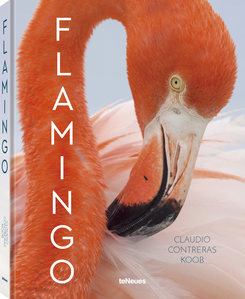 Cover: 9783961713875 | Flamingo | Claudio Contreras Koob | Buch | 224 S. | Deutsch | 2022