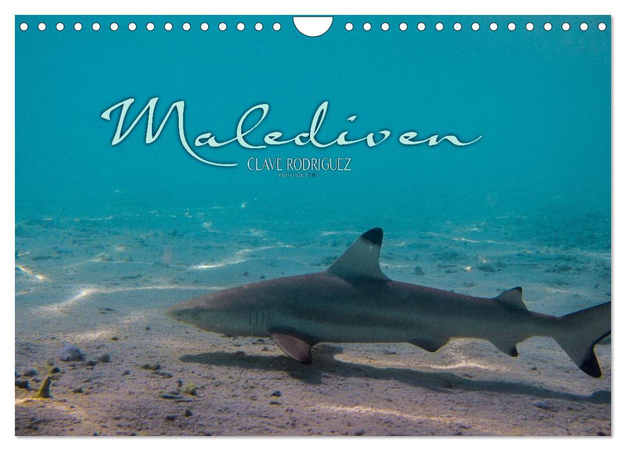 Cover: 9783383603235 | Unterwasserwelt der Malediven I (Wandkalender 2024 DIN A4 quer),...