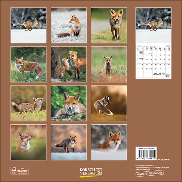 Bild: 9783731875635 | Füchse 2025 | Verlag Korsch | Kalender | 13 S. | Deutsch | 2025