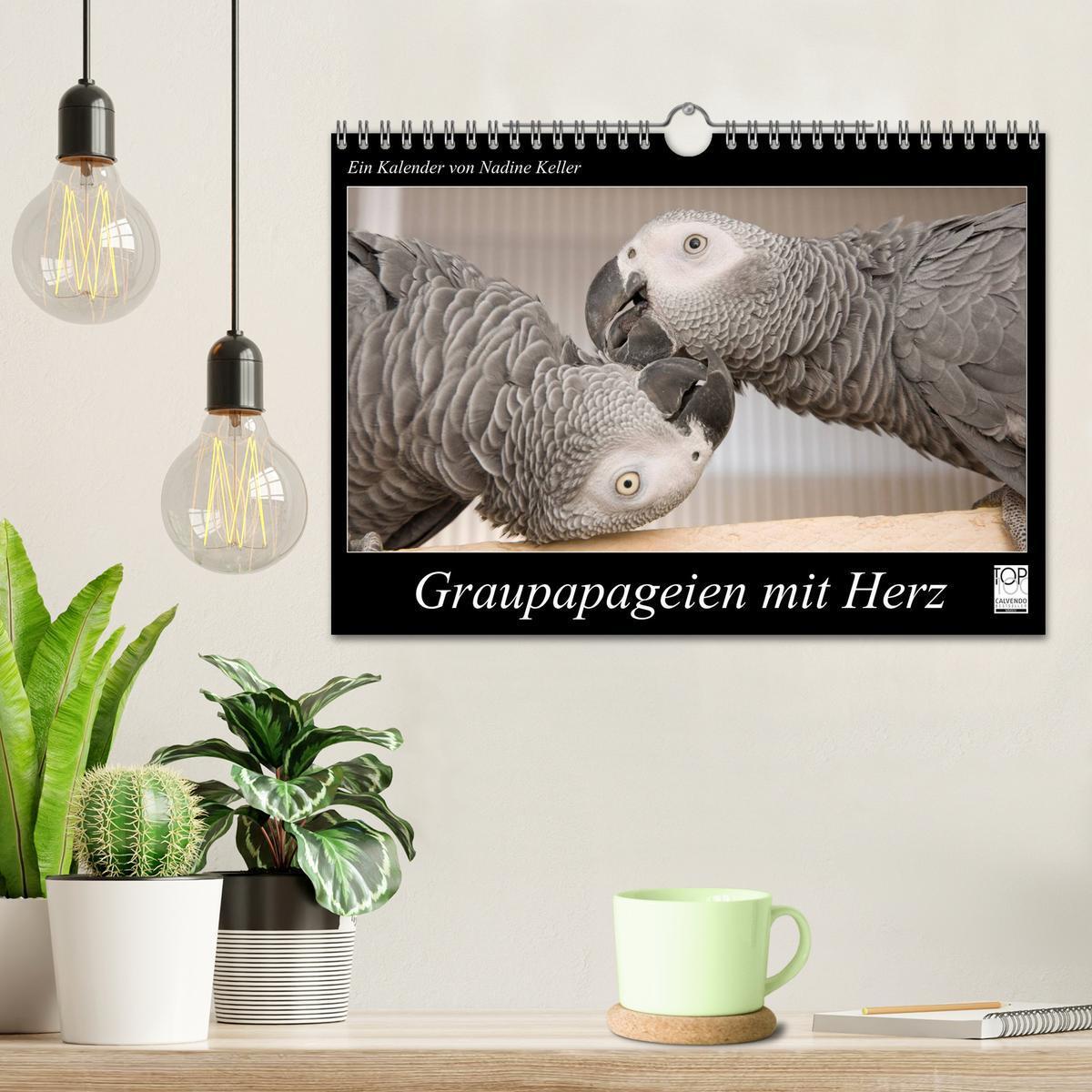 Bild: 9783435687886 | Graupapageien mit Herz (Wandkalender 2025 DIN A4 quer), CALVENDO...