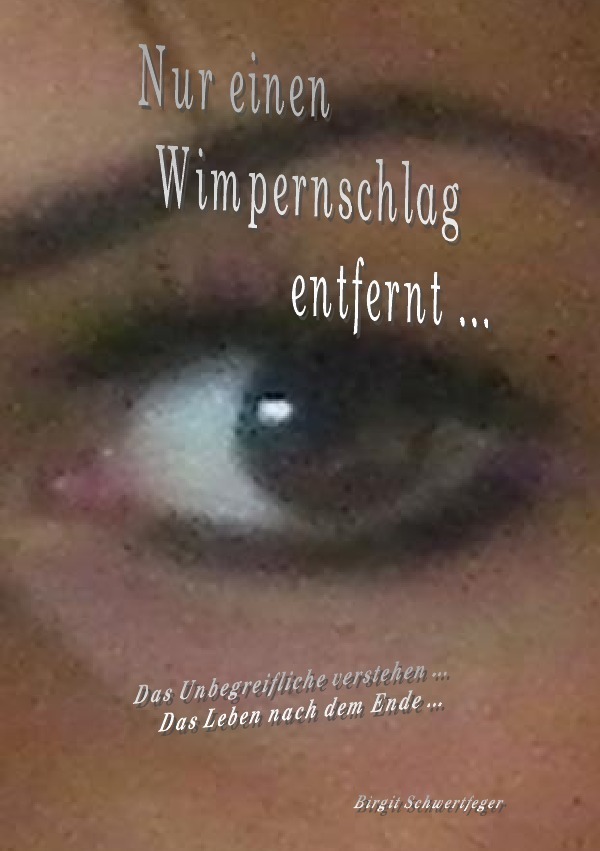 Cover: 9783741844195 | Nur ein Wimpernschlag entfernt | Birgit Schwertfeger | Taschenbuch