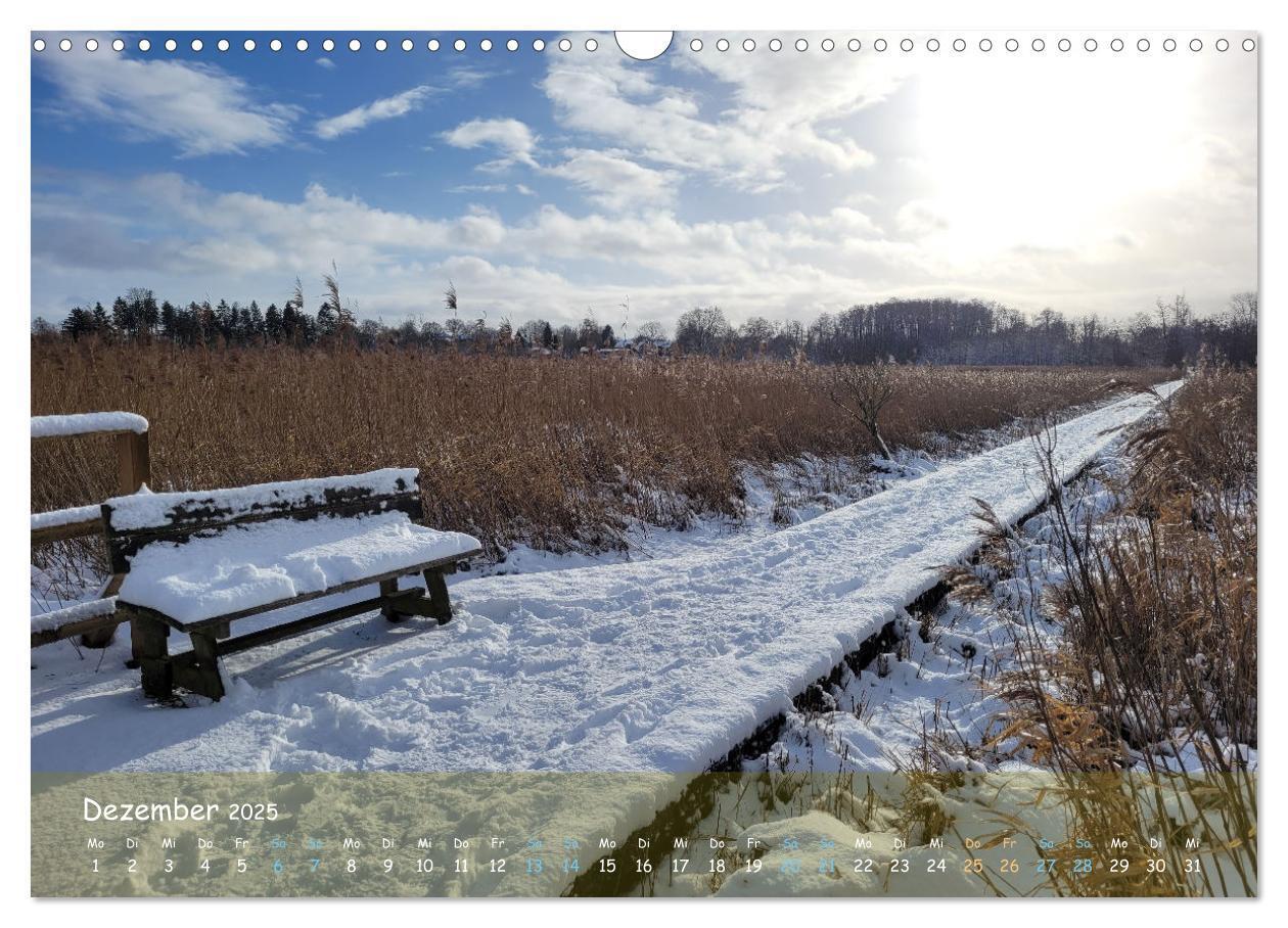 Bild: 9783457199244 | Moorträume - Naturschönheit in Bildern (Wandkalender 2025 DIN A3...