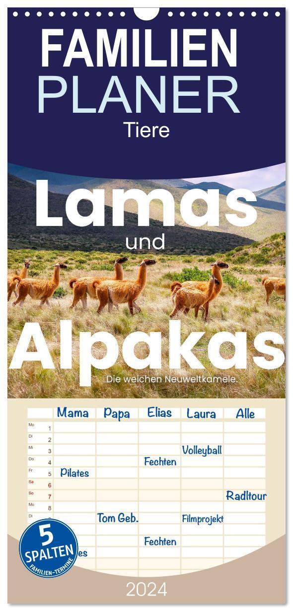 Cover: 9783675724075 | Familienplaner 2024 - Lamas und Alpakas - Die weichen...