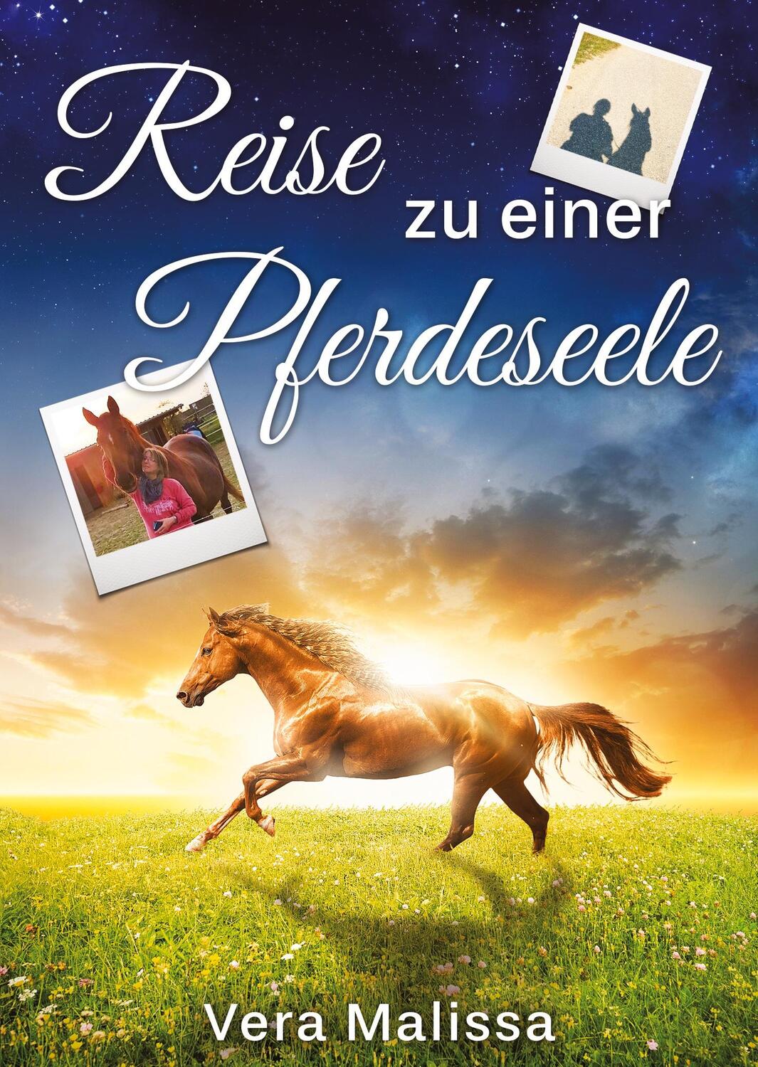 Cover: 9783347954144 | Reise zu einer Pferdeseele | Vera Malissa | Taschenbuch | Paperback