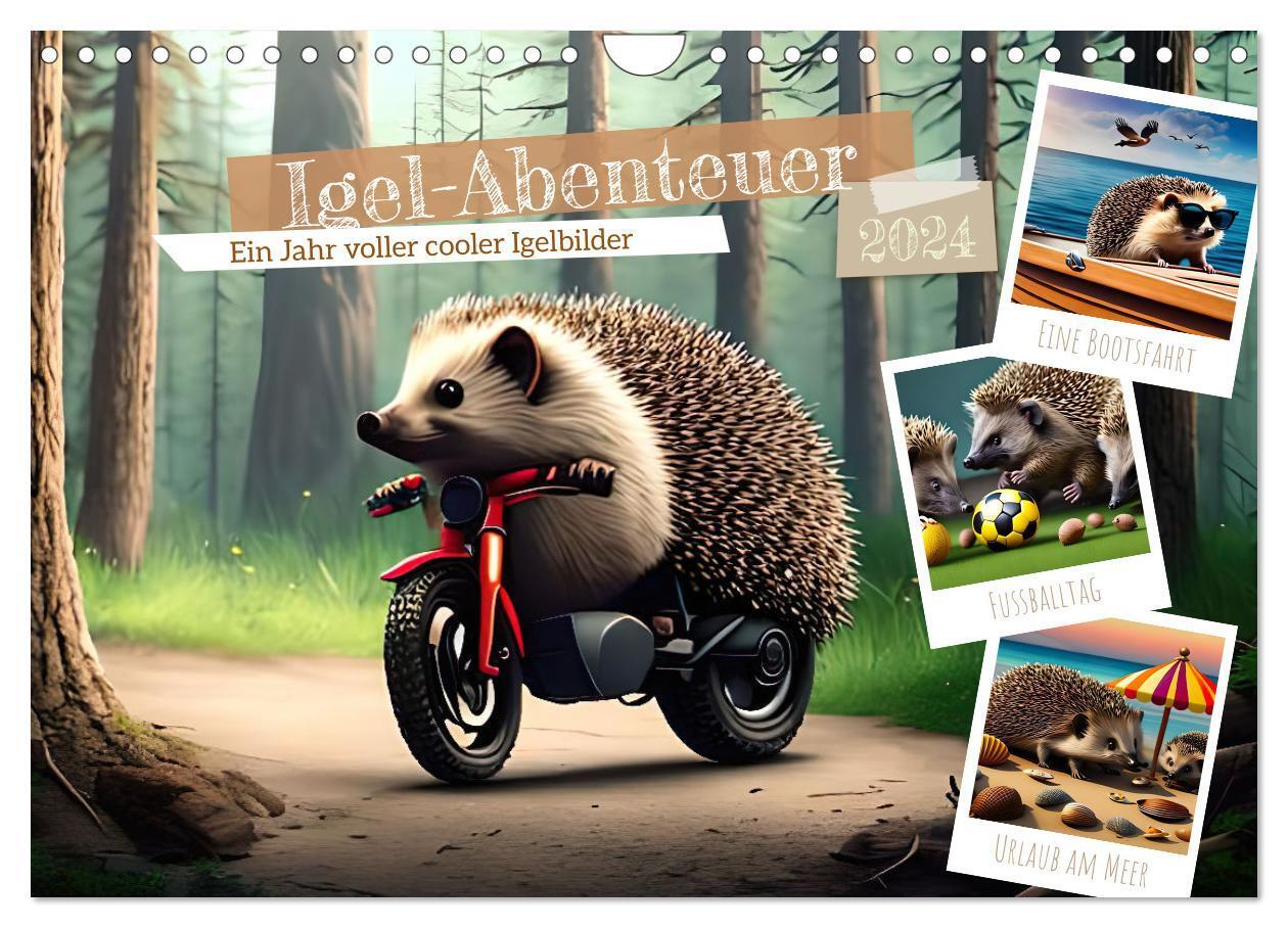 Cover: 9783675542969 | Igel-Abenteuer (Wandkalender 2024 DIN A4 quer), CALVENDO...
