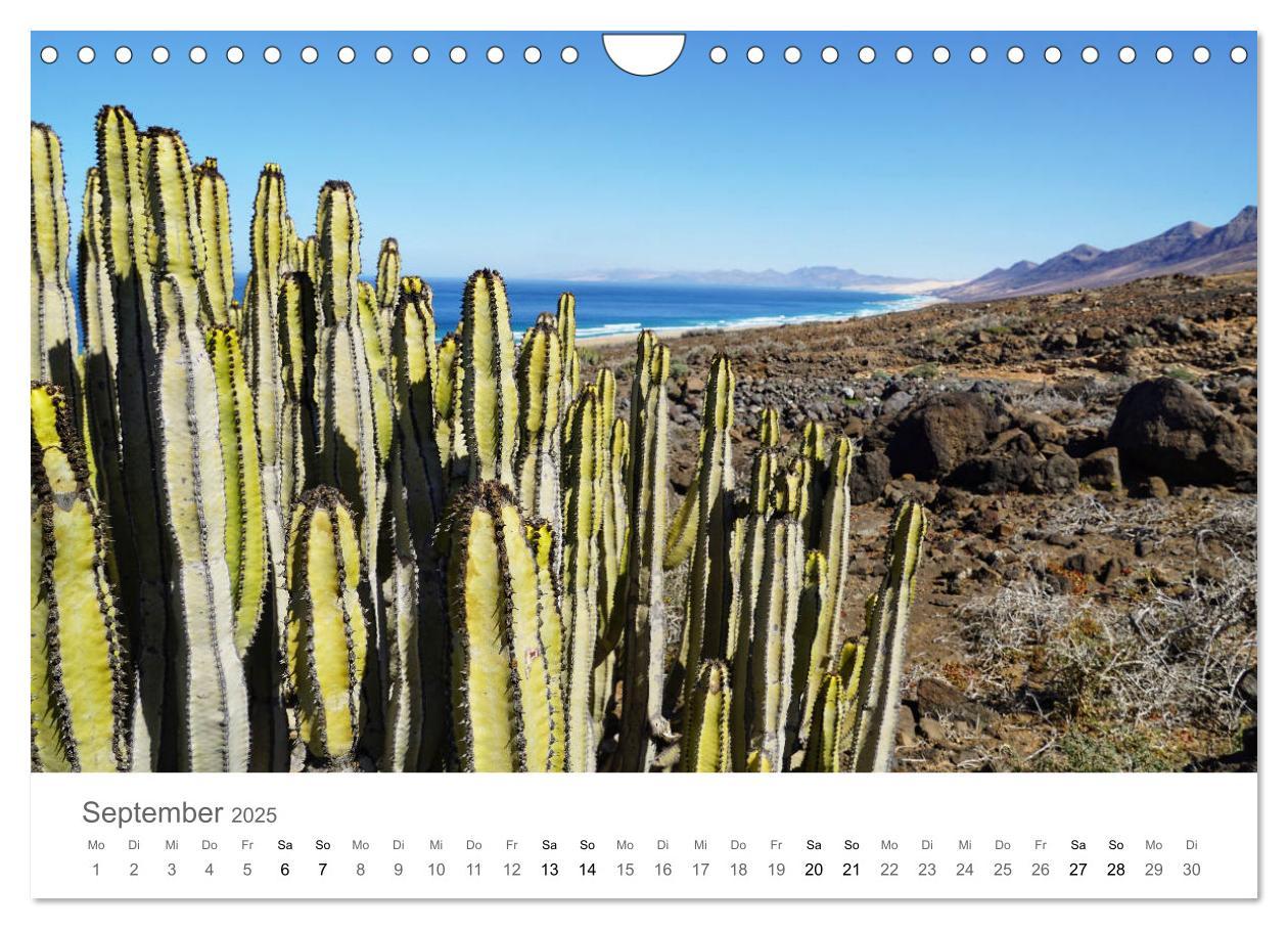 Bild: 9783435218882 | Fuerteventura - die Wüsteninsel der Kanaren (Wandkalender 2025 DIN...