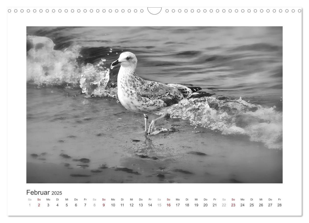 Bild: 9783435291328 | Monochrom Meer (Wandkalender 2025 DIN A3 quer), CALVENDO...