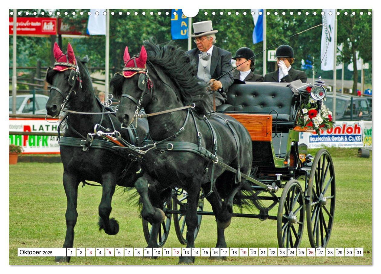 Bild: 9783383964602 | Faszination Fahrsport - Zweispänner im Galopp durch den Parcour...