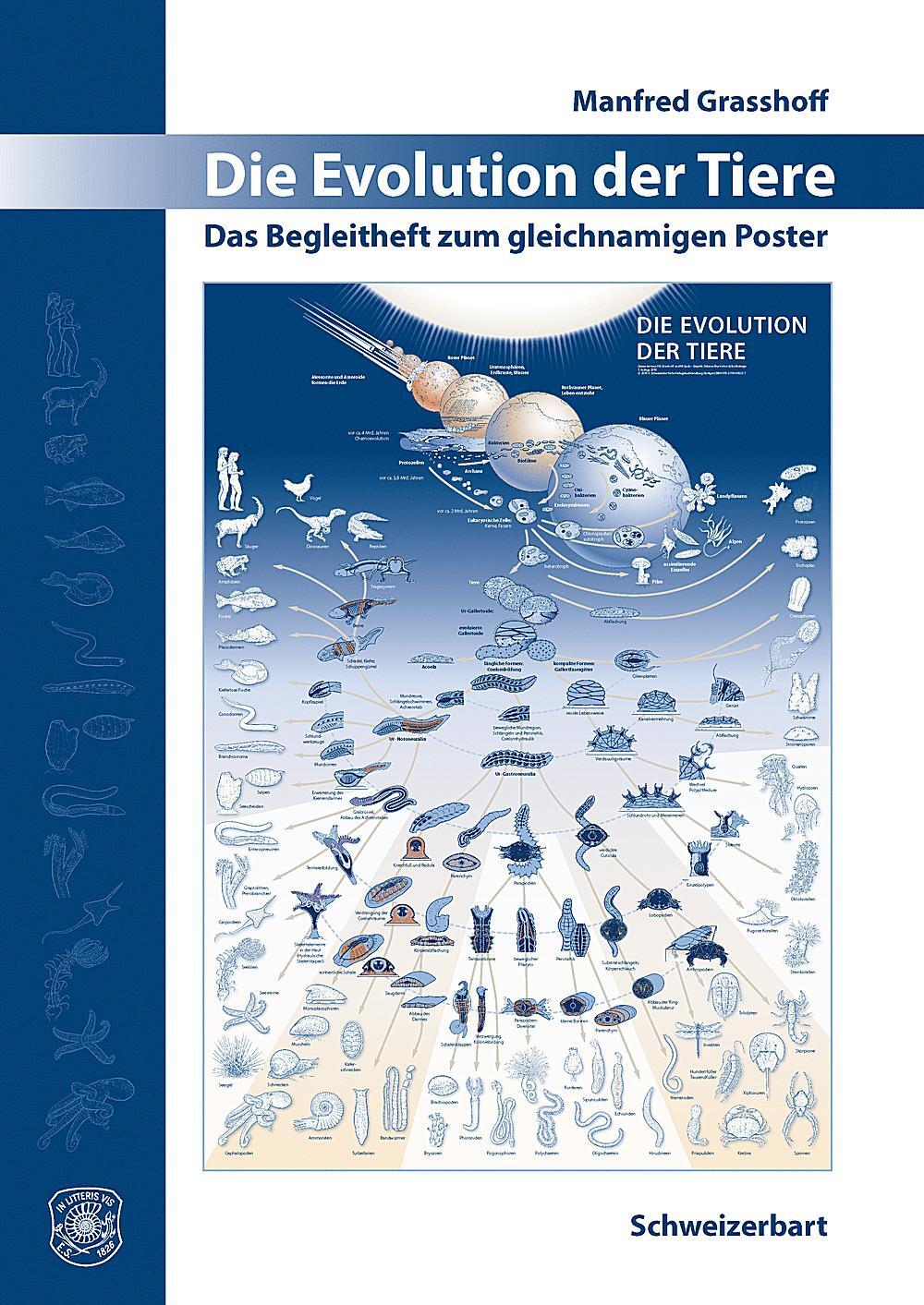 Cover: 9783510654277 | Die Evolution der Tiere | Das Begleitheft zum gleichnamigen Poster