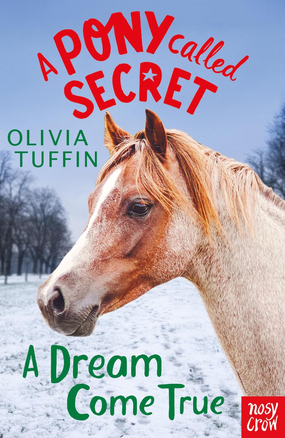 Cover: 9781788000536 | A Pony Called Secret: A Dream Come True | Olivia Tuffin | Taschenbuch