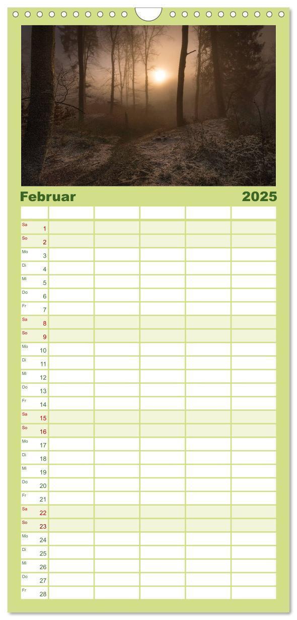 Bild: 9783457117453 | Familienplaner 2025 - Mysterium Wald mit 5 Spalten (Wandkalender,...