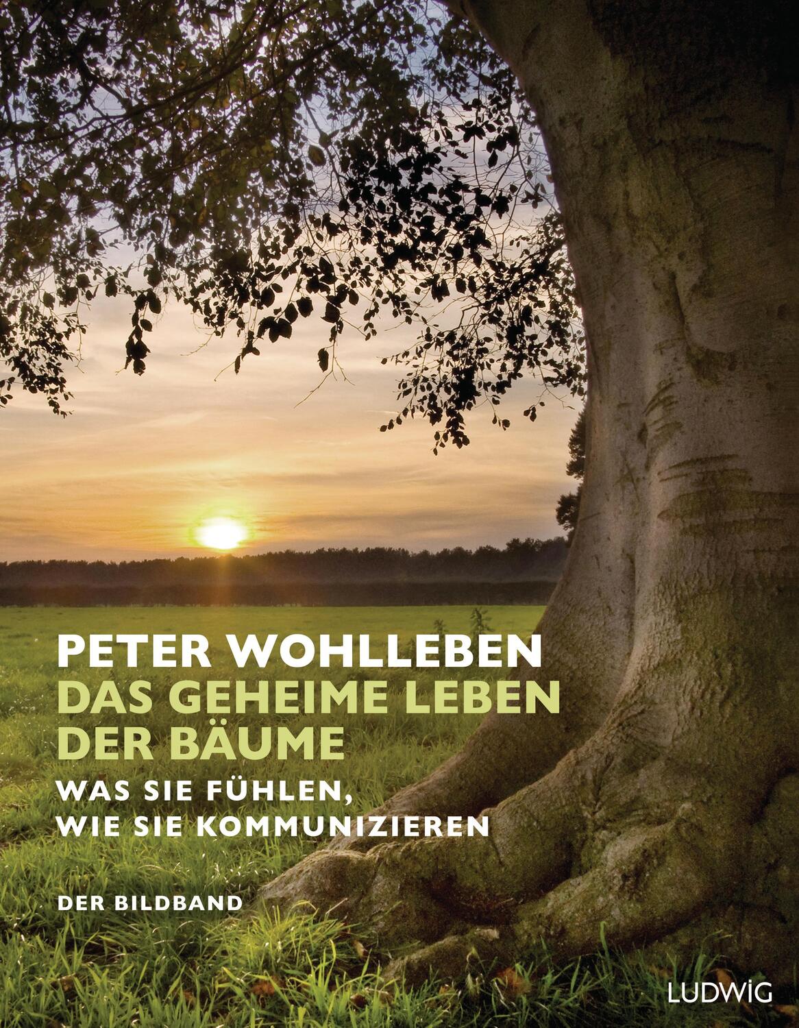 Cover: 9783453280885 | Das geheime Leben der Bäume | Peter Wohlleben | Buch | 336 S. | 2016