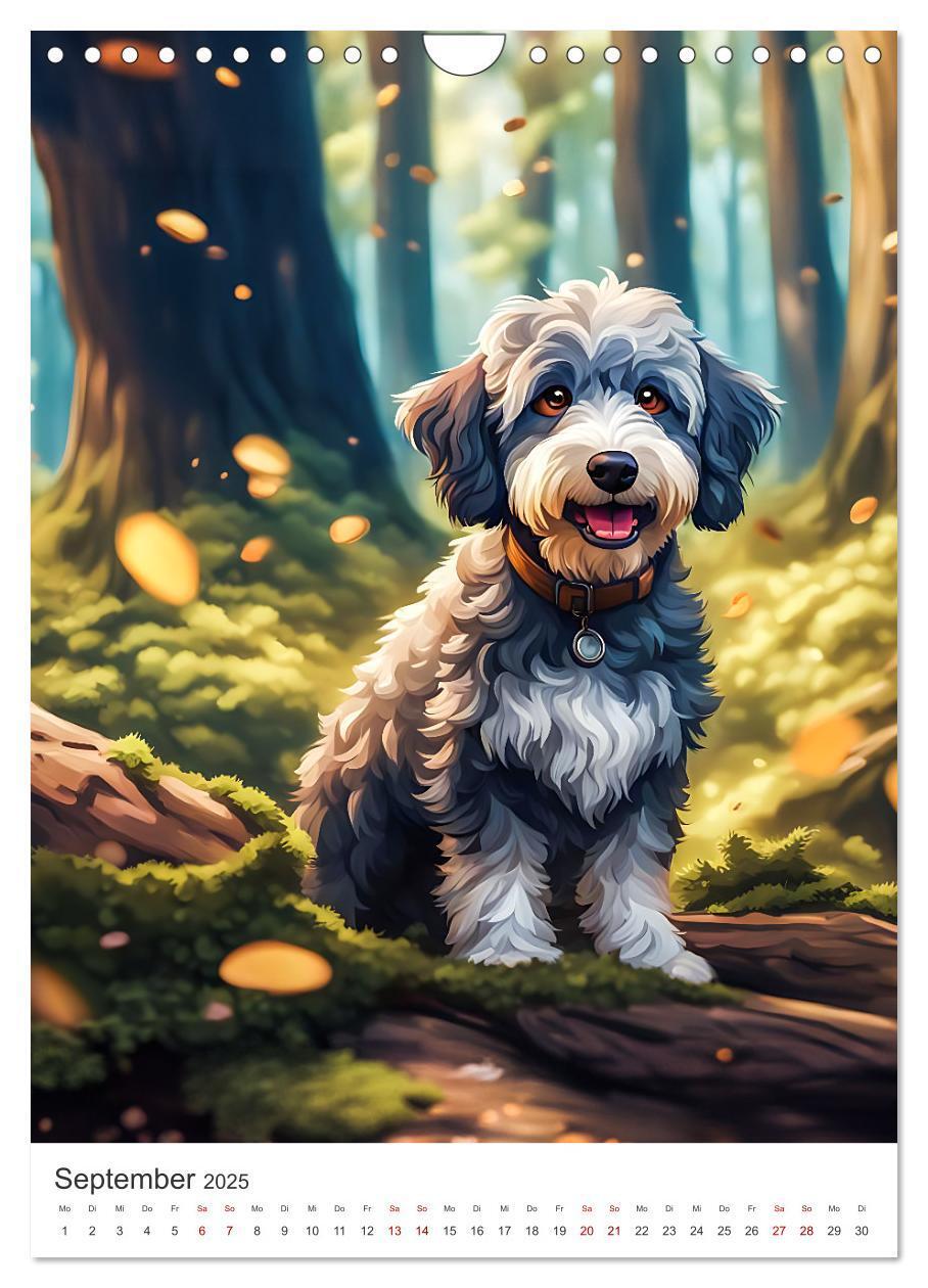 Bild: 9783383807046 | Der Aussiedoodle - Lebensfreude pur (Wandkalender 2025 DIN A4...