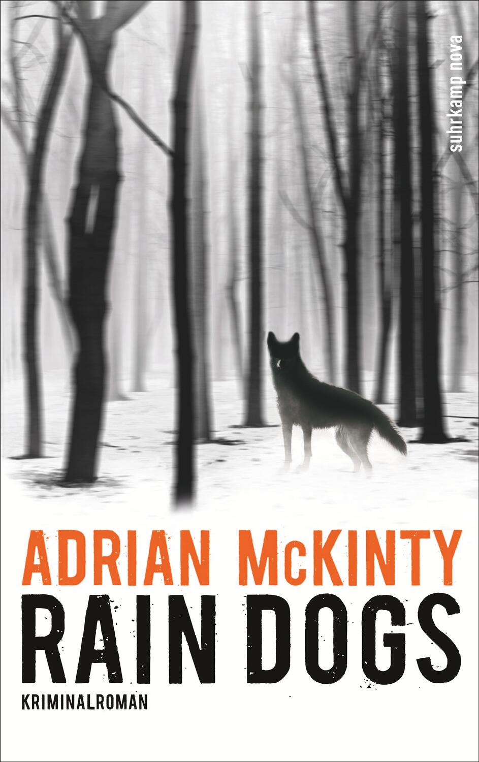 Cover: 9783518467473 | Rain Dogs | Adrian McKinty | Taschenbuch | Sean Duffy | Deutsch | 2017