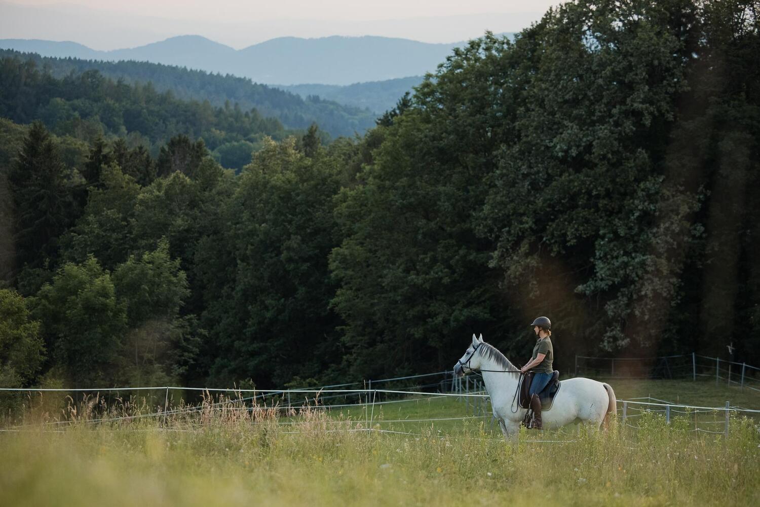 Bild: 9783275023011 | Einfach (An)Reiten | Anreiten und Training selbst in die Hand nehmen