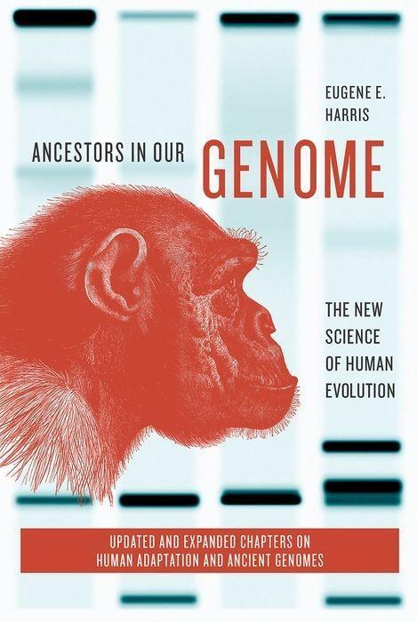 Cover: 9780190941918 | Ancestors in Our Genome | The New Science of Human Evolution | Harris