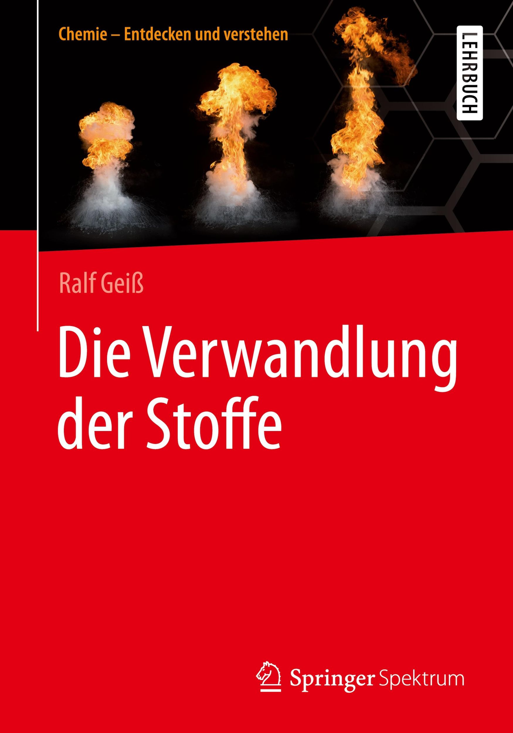 Cover: 9783662547076 | Die Verwandlung der Stoffe | Ralf Geiß | Taschenbuch | Paperback