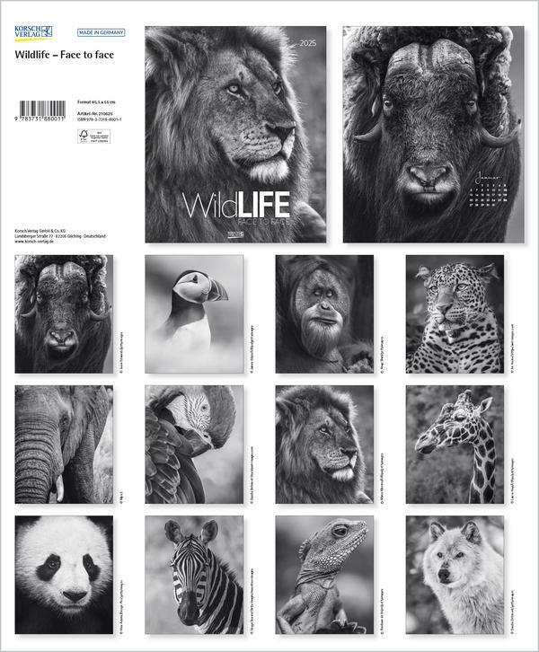 Bild: 9783731880011 | WildLife 2025 | Korsch Verlag | Kalender | 14 S. | Deutsch | 2025