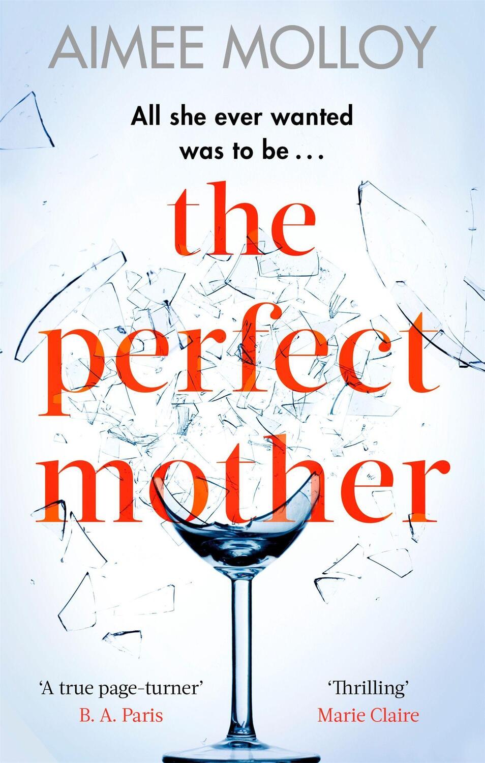 Cover: 9780751570342 | The Perfect Mother | A gripping thriller with a nail-biting twist