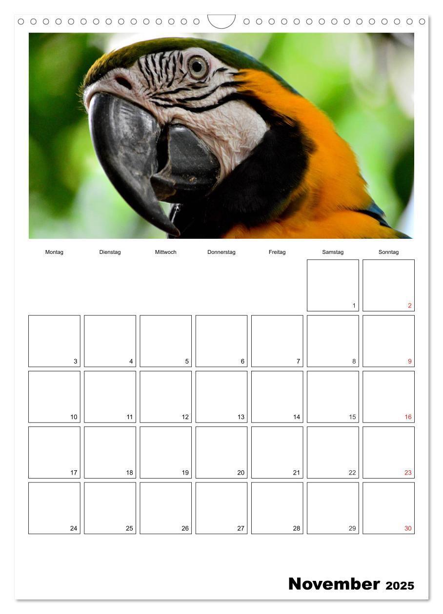 Bild: 9783457014547 | Brasilien. Wo die Sonne wohnt (Wandkalender 2025 DIN A3 hoch),...