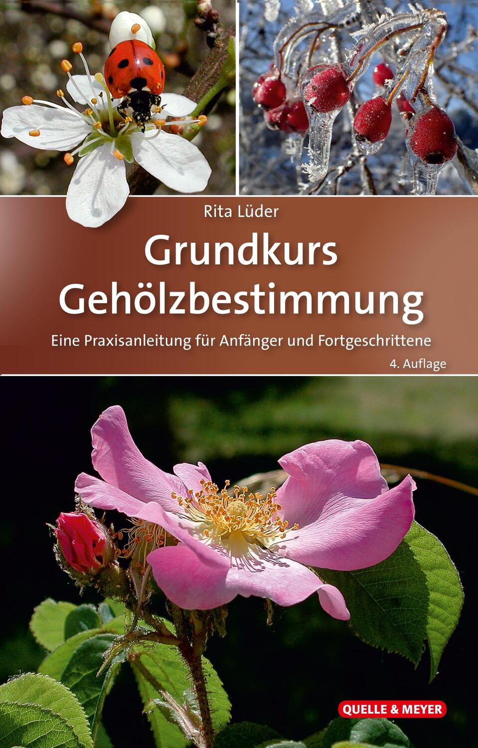Cover: 9783494019154 | Grundkurs Gehölzbestimmung | Rita Lüder | Buch | Deutsch | 2021