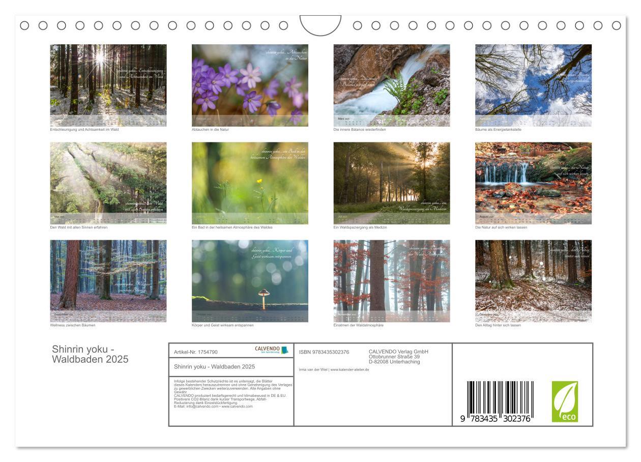 Bild: 9783435302376 | Shinrin yoku - Waldbaden 2025 (Wandkalender 2025 DIN A4 quer),...