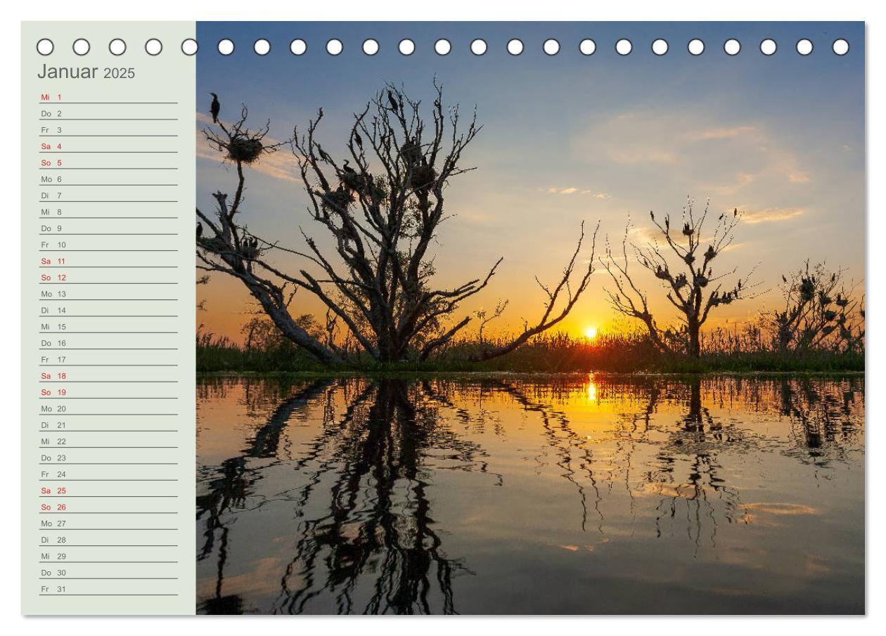 Bild: 9783435097760 | Donaudelta - Tierparadies am Schwarzen Meer (Tischkalender 2025 DIN...