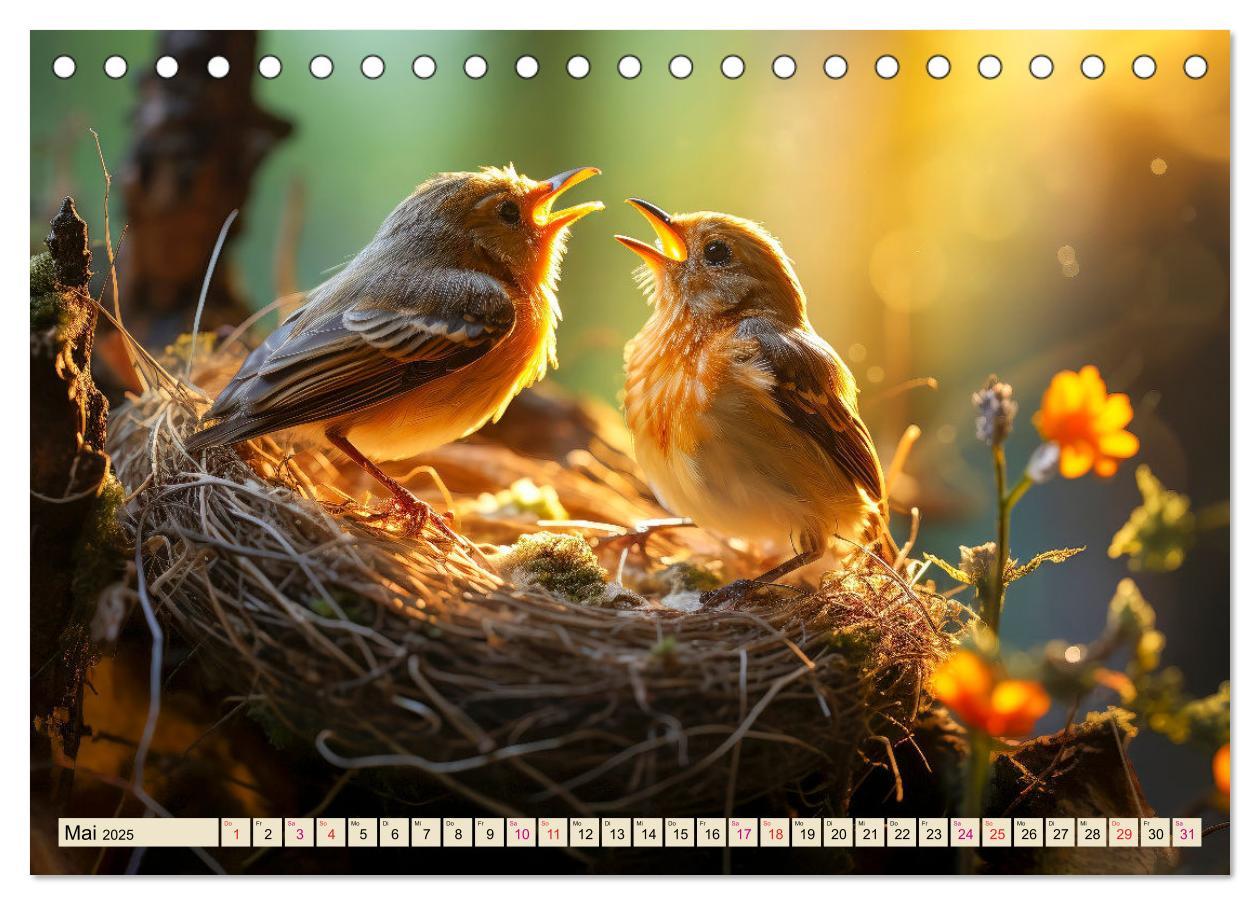 Bild: 9783383843389 | Vögel Alltag (Tischkalender 2025 DIN A5 quer), CALVENDO Monatskalender