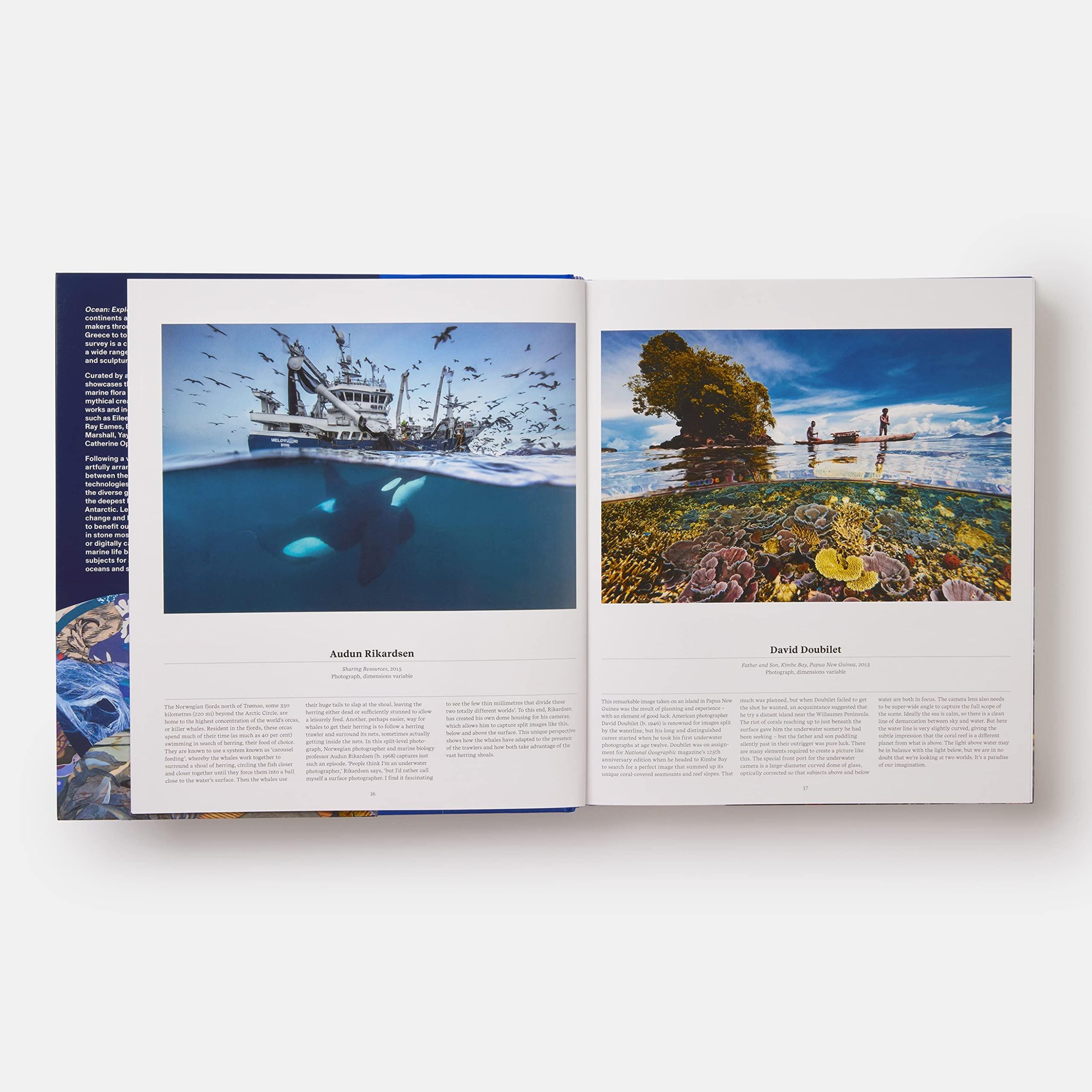 Bild: 9781838664787 | Ocean | Exploring the Marine World | Editors Phaidon (u. a.) | Buch