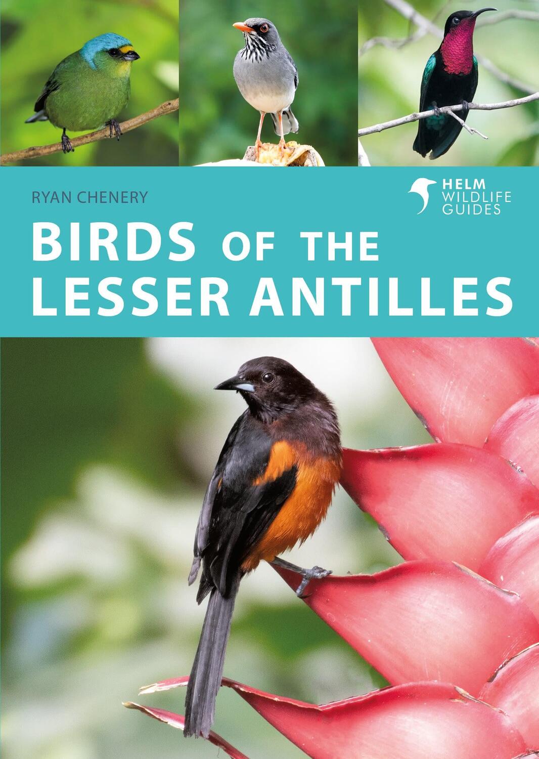 Cover: 9781472989611 | Birds of the Lesser Antilles | Ryan Chenery | Taschenbuch | Englisch