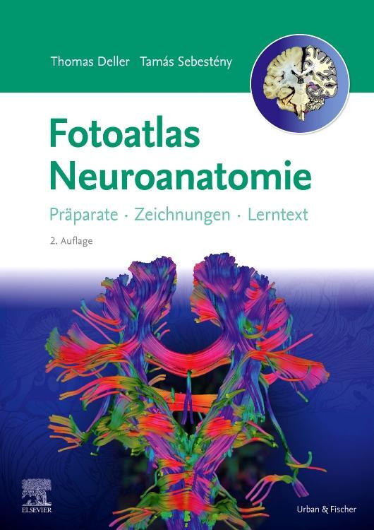 Cover: 9783437412431 | Fotoatlas Neuroanatomie | Thomas Deller (u. a.) | Taschenbuch | X