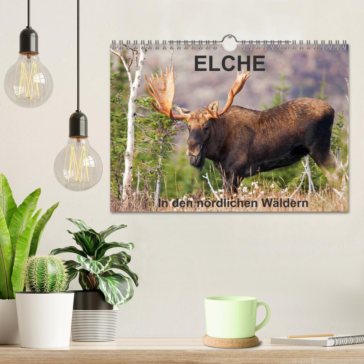 Bild: 9783435614851 | ELCHE In den nördlichen Wäldern (Wandkalender 2025 DIN A4 quer),...