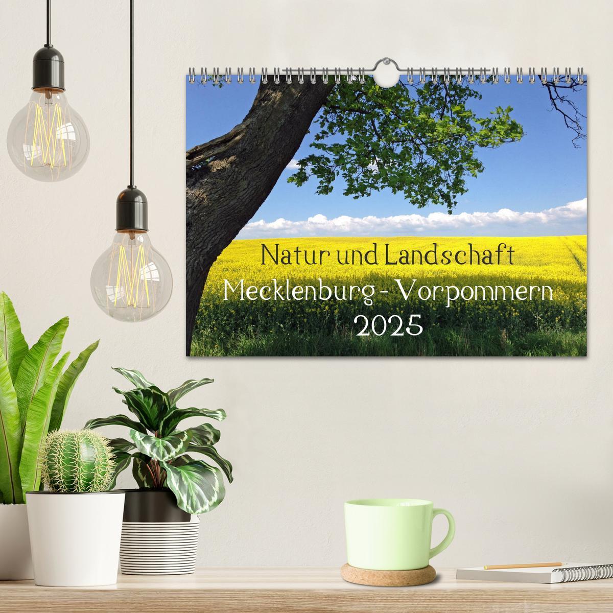 Bild: 9783435134540 | Natur und Landschaft Mecklenburg - Vorpommern 2025 (Wandkalender...