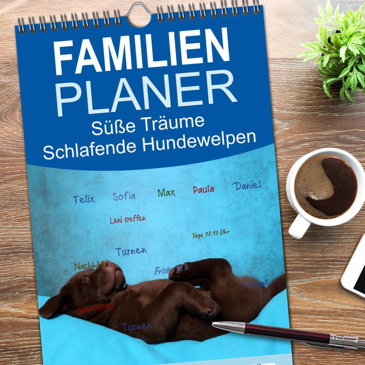 Bild: 9783457119433 | Familienplaner 2025 - Süße Träume 2025 - schlafende Hundewelpen mit...