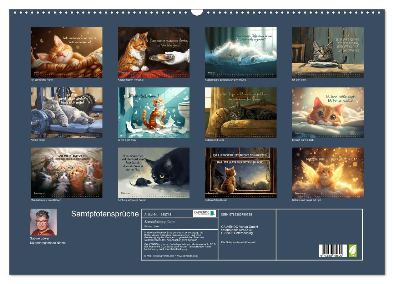 Bild: 9783383780325 | Samtpfotensprüche (Wandkalender 2025 DIN A2 quer), CALVENDO...