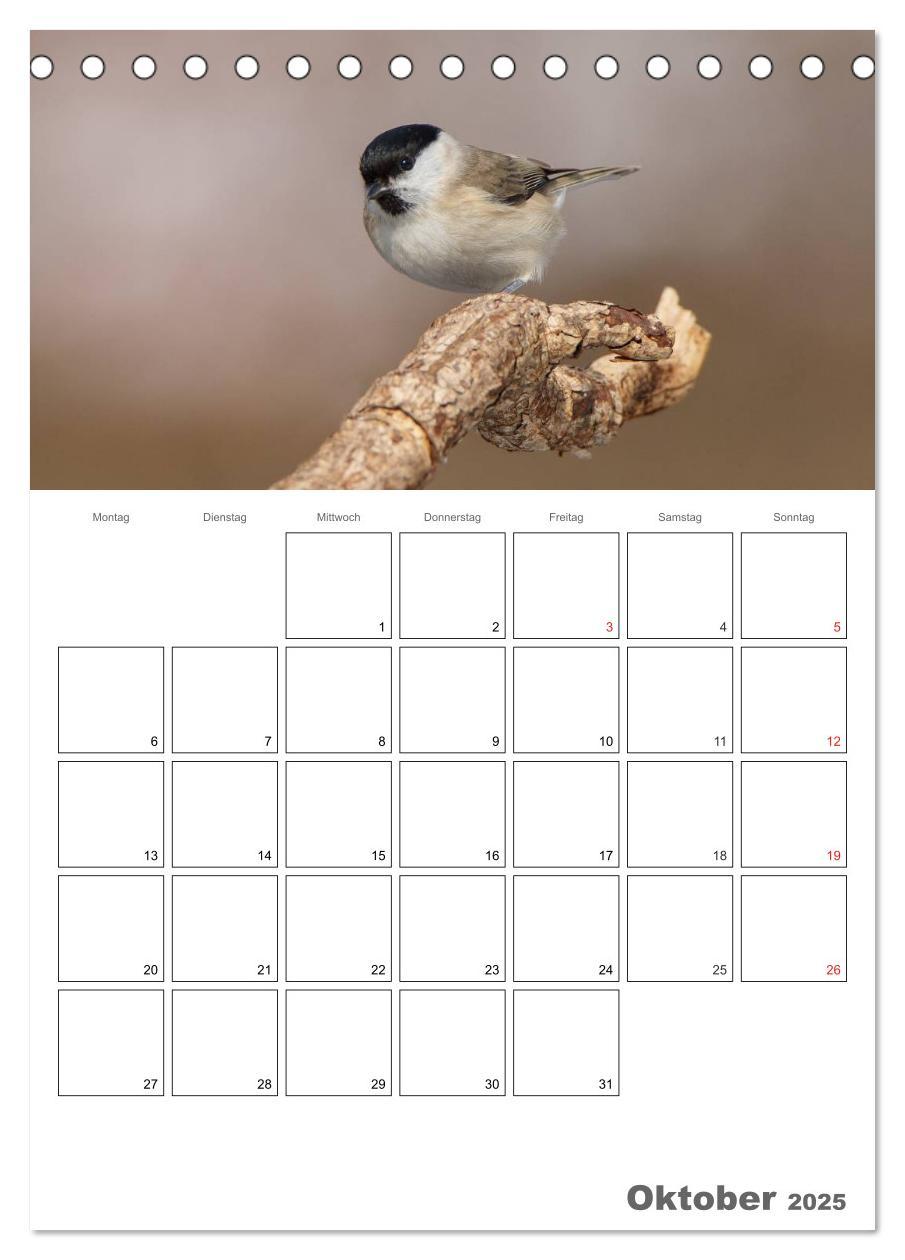 Bild: 9783457007730 | Vögel im heimischen Garten (Tischkalender 2025 DIN A5 hoch),...