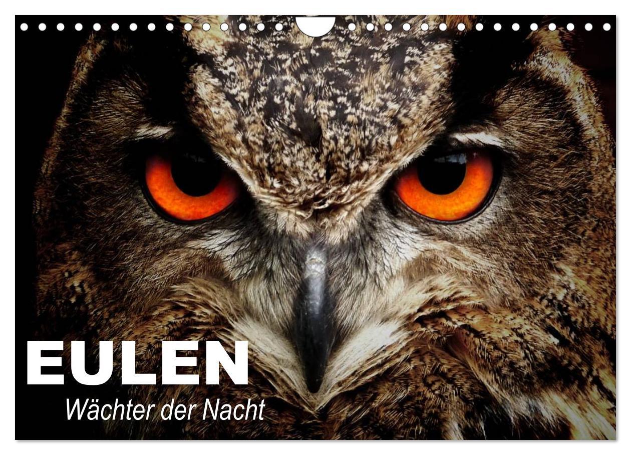 Cover: 9783435685424 | Eulen. Wächter der Nacht (Wandkalender 2025 DIN A4 quer), CALVENDO...