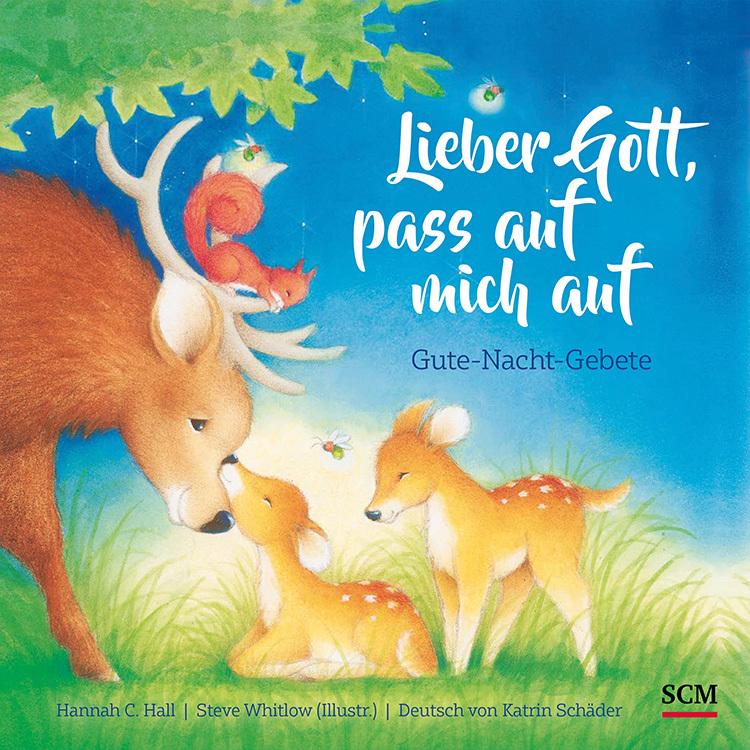 Cover: 9783417289275 | Lieber Gott, pass auf mich auf | Hannah C Hall | Buch | 20 S. | 2021