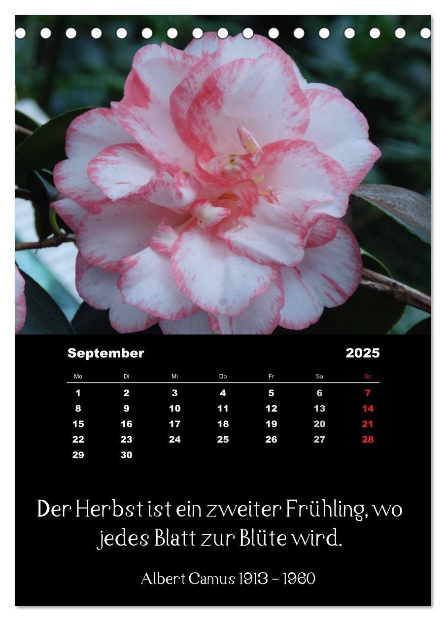 Bild: 9783457085660 | Sprüche und Zitate berühmter Personen über Blumen und Natur...