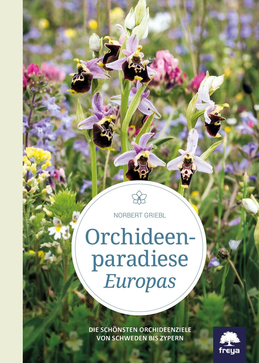 Cover: 9783990252437 | Orchideenparadiese Europas | Norbert Griebl | Buch | Deutsch | 2017