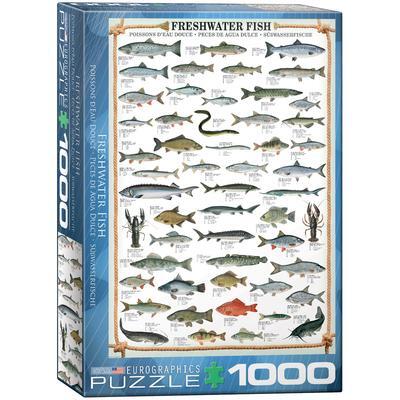 Cover: 628136603126 | Freshwater Fish | Stück | Englisch | 2022 | EUROGRAPHICS