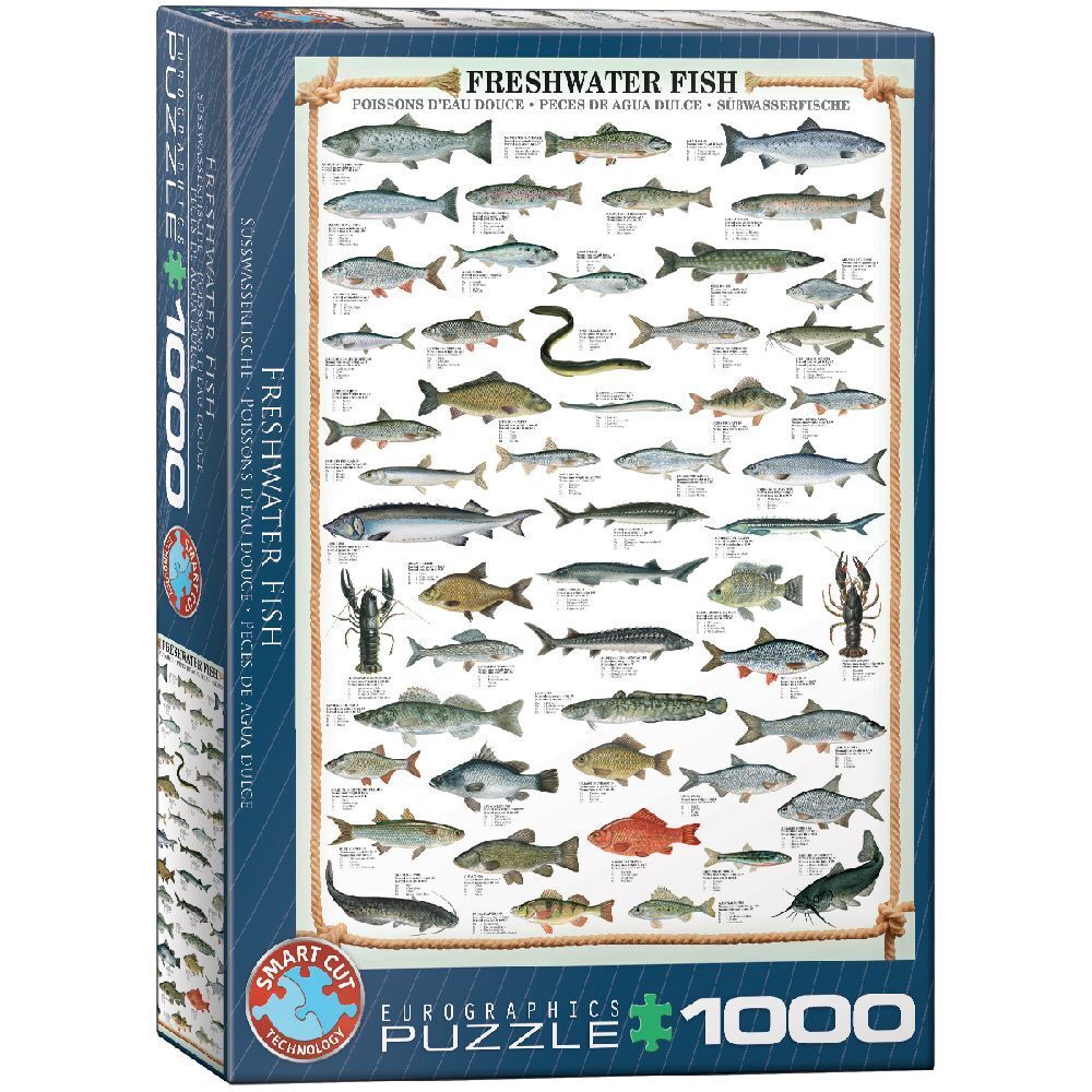 Cover: 628136603126 | Süßwasserfische | Spiel | In Spielebox | Deutsch | 2024 | Eurographics