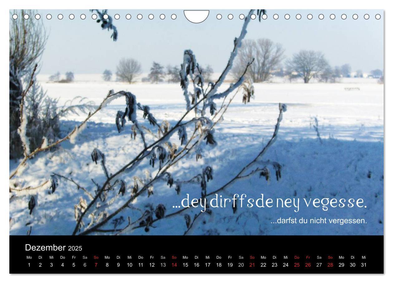 Bild: 9783435513024 | Die Wetterau mit Mundart-Statements (Wandkalender 2025 DIN A4...